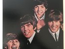Beatles - Five Nights In A Judo Arena, Rare, Limited Edition Vinyl Record LP