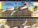 Widespread Panic ?- Space Wrangler 2 x LP - Reissue Vinyl - NEW - Southern Rock