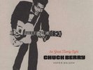 The Great Twenty-Eight by Chuck Berry [Super Deluxe Ed.] (Vinyl, Jan-2018) *NEW*