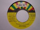 SHARON FORRESTER Love Don't Live Here Anymore DICE Reggae Disco Funk Cover 7