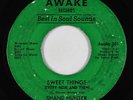 Northern Soul 45 - Shane Hunter - Sweet Things - Awake - mp3