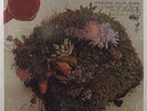 MANFRED MANN'S EARTH BAND The Good Earth WARNER BROS BS 2826 LP SEALED