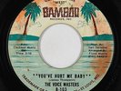 Northern Soul 45 - Voice Masters - You've Hurt Me Baby - Bamboo - mp3