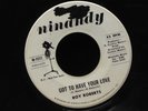 Roy Roberts-Got To Have Your Love-Ninandy 1011-WLP PROMO NORTHERN SOUL