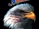 America - Ventura Highway: Live (Limited Edition) [2xLP Vinile]