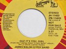 JAMES WALSH GYPSY BAND Cuz It’s You Girl RCA 45 northern soul NM 7” HEAR