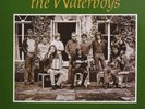 Fisherman's Blues by The Waterboys (Vinyl, Dec-2017, 180gram) *NEW* *FREE Ship*