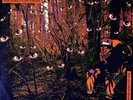 Del Tha Funkee Homosapien ?- I Wish My Brother George Was Here (LP) (VG-/G-VG)