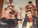 ORANGE JUICE RIP IT UP VINYL LP POLS 1076