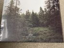 Gidge - Autumn Bells Vinyl LP Atomnation NEW
