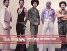 METERS, The - Here Comes The Meter Man: All The Josie Hits - Vinyl (LP)