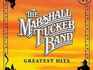 MARSHALL TUCKER BAND-GREATEST HITS VINYL LP NEW