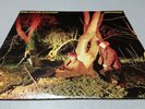 ECHO AND THE BUNNYMEN - CROCODILES - SRK 6096, ALT ROCK, NEW WAVE  VINYL RECORD