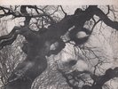 Gap Mangione Trio Diana In The Autumn Wind 1968 Vinyl LP GRC 9001 32584 33rpm