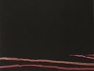 City And Colour-Bring Me Your Love (2LP/180gr) VINYL NEW