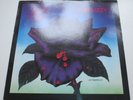 THIN LIZZY 'BLACK ROSE' UK ORIG 1st PRESS '79 NR ARCHIVE COPY