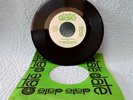 Vintage Dick Wagner & The Frosts 45 Rpm Radio Copy Sunshine/Little Girl (1596)*