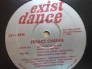 Freaky Chakra ?Halucifuge Exist Dance Breakbeat Deep House High Lonesome Vinyl