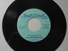 THE MAGIC MUSHROOMS Municipal Water /Let The Rain Be Me 45 rpm GARAGE PSYCH Hear