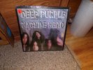 SEALED DEEP PURPLE 
