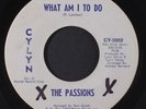 PASSIONS: Time Is A Natural / What Am I To Do 45 Hear  (plays better than visua