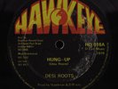 DESI ROOTS Hung Up HAWK EYE 12
