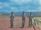 PIONEERS, The - Long Shot (reissue) - Vinyl (LP)