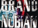 BRAND NUBIAN-IN GOD WE TRUST (US IMPORT) VINYL LP NEW