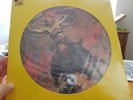 MOLLY HATCHET BEATIN THE ODDS PICTURE DISC VINYL LP. EPIC. BRAND NEW AND SEALED.