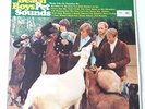 Beach Boys - Pet Sounds Vinyl LP UK 1st Mono Press 1966 -1/-1 Rainbow Labels