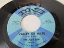 THE JUST LUV RARE DETROIT GARAGE PSYCH 45 M-S LABEL VALLEY OF HATE /GOOD GOOD