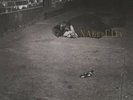 John Zorn - Naked City 852545003349 (Vinyl Used Very Good)
