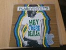 Plain White T's Hey There Delilah 7