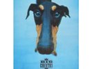 BIG COUNTRY Why The Long Face Tour 1995 TOUR PROGRAMME Europe 1995 Original 20