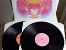 THE BLACK CROWES     original Vinyl 2LP     Lions (2001)