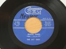 THE JAY-BEES Good Times/Tossin & Turnin 45 Rare Fuzz Garage Psych HEAR