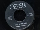 Small Society-Just Loving You/If You Stand By Me-Cadde 4502-RARE SWEET SOUL