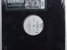 COMMON Like Water For Chocolate MCA 13835 2XLP SEALED