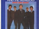Brian Poole And The Tremeloes Twist and Shout NEAR MINT Decca Vinyl LP
