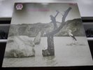 TONTON MACOUTE - 1st UK Press 1971 RCA NEON (Warhorse, Spring, Vertigo Swirl NM