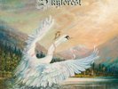 Skyforest - Unity ++ WHITE LP ++ NEU