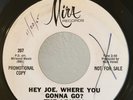 Rare Garage PROMO 45 The Leaves Hey Joe,Where You Gonna Go? on Mira HEAR VG++