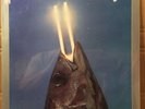 REO Speedwagon You Can Tune A Piano But You Can’t Tuna Fish SEALED CLASSIC