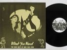 INXS WHAT YOU NEED/VERY VEST OF 1983-1986 WEA PS-282 Japan PROMO VINYL LP
