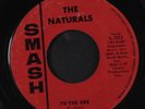 NATURALS: I'm The One / Hey, Little Girl 45 (plays strong, slight warp dnap, v