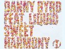 Danny Byrd Feat Liquid - Sweet Harmony (DandB Remixes) Vinyl Maxi Hospital NEW