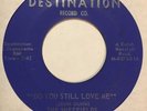 Garage 45 THE SHEFFIELDS Do You Still Love Me DESTINATION Nothing I Can Do HEAR