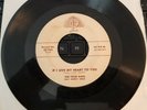 Josie 45-768  The Four Bars 45rpm If I Give My Heart To You rare Doo Wop