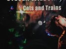 STEVE WILSON Cats And Trains Solo Acoustic Performance 2003 Vinile Colorato Blu