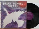 BRIMSTONE Paper Winged Dreams LP (orig 1973) RARE Ohio Psych Prog